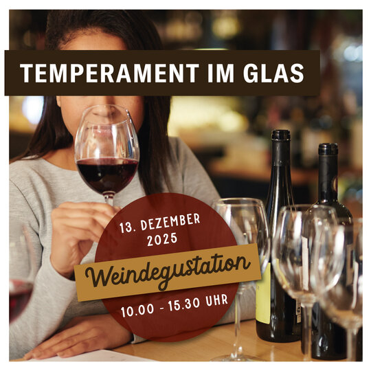 Spanische Weine mit Charakter