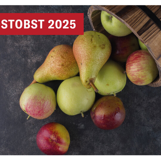 Mostobst-Richtpreise 2025