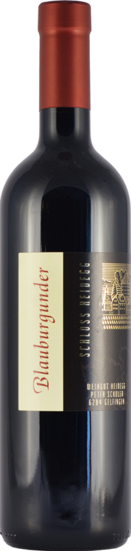Blauburgunder AOC Luzern
Weingut Heidegg