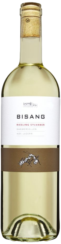 Dagmersellen Riesling Sylvaner 
Weingut Bisang