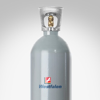 Protadur E 290 (6 kg) - Co2
(kleine Flasche)