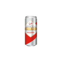 Stoli Ginger Beer Dosen 
alkoholfrei