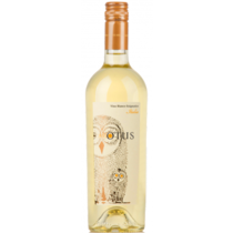 Asio Otus Vino Bianco Amabile