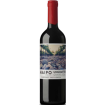 Cabernet Sauvignon Ungrafted
DO Maipo De Martino