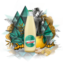 Amicero Spritz alkoholfrei
Ingwer-Orangen