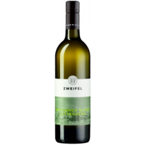 Sauvignon Blanc Lattenberg
AOC Zürichsee Zweifel 1898