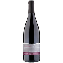 Pinot Noir Maienfeld AOC
Cottinelli