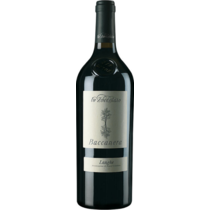 Lo Zoccolaio, Baccanera, Langhe Rosso
DOC Langhe Fratelli Martini