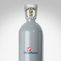 Protadur E 290 (6 kg) - Co2
(kleine Flasche)