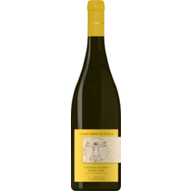 Vermentino IGT Vitruviano 
Cantine Leonardo da Vinci
