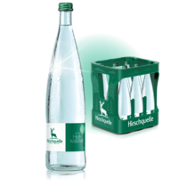 Hirschquelle Heilwasser *